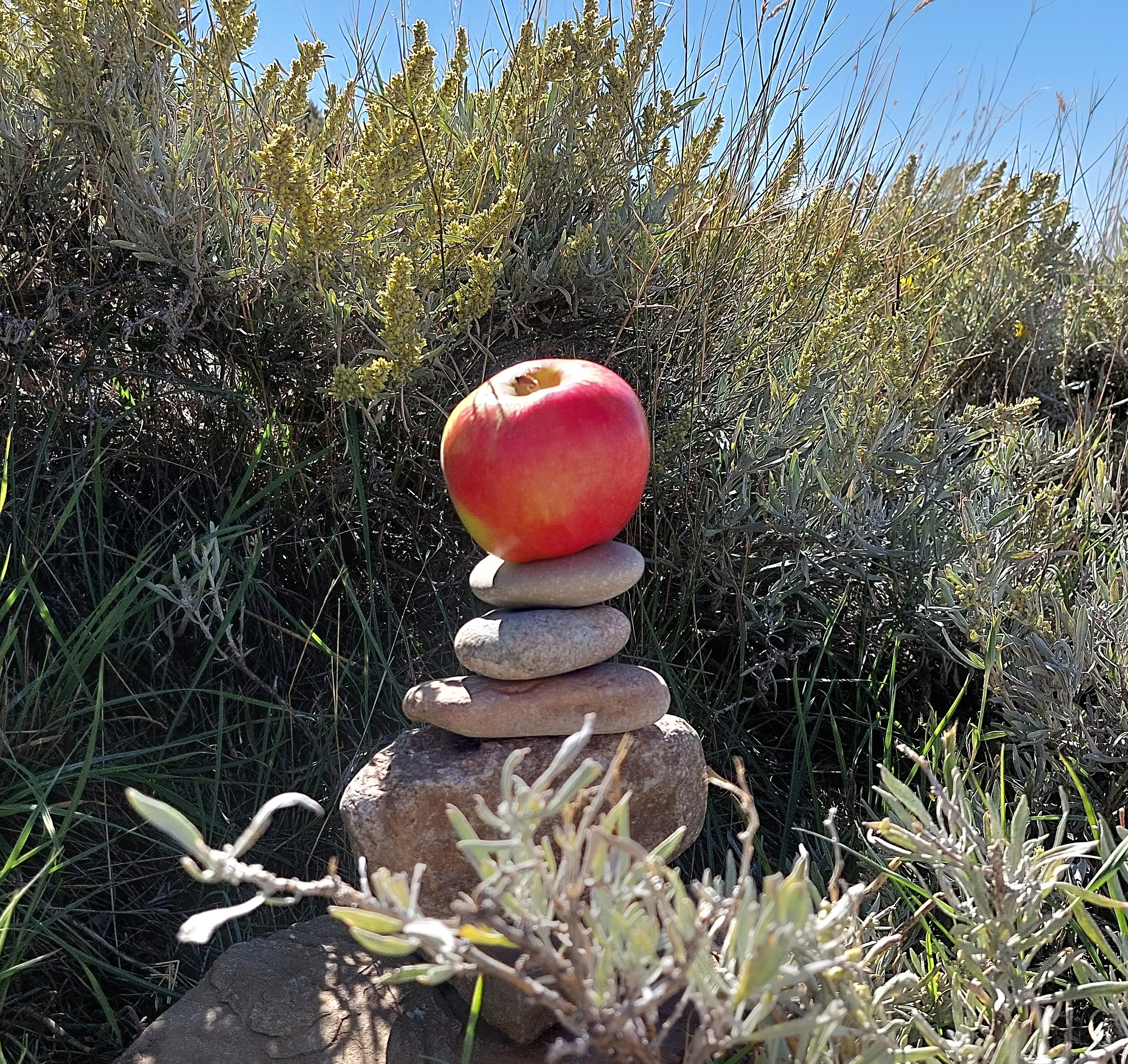 A red apple on top of a small cairn with sagebrush around.