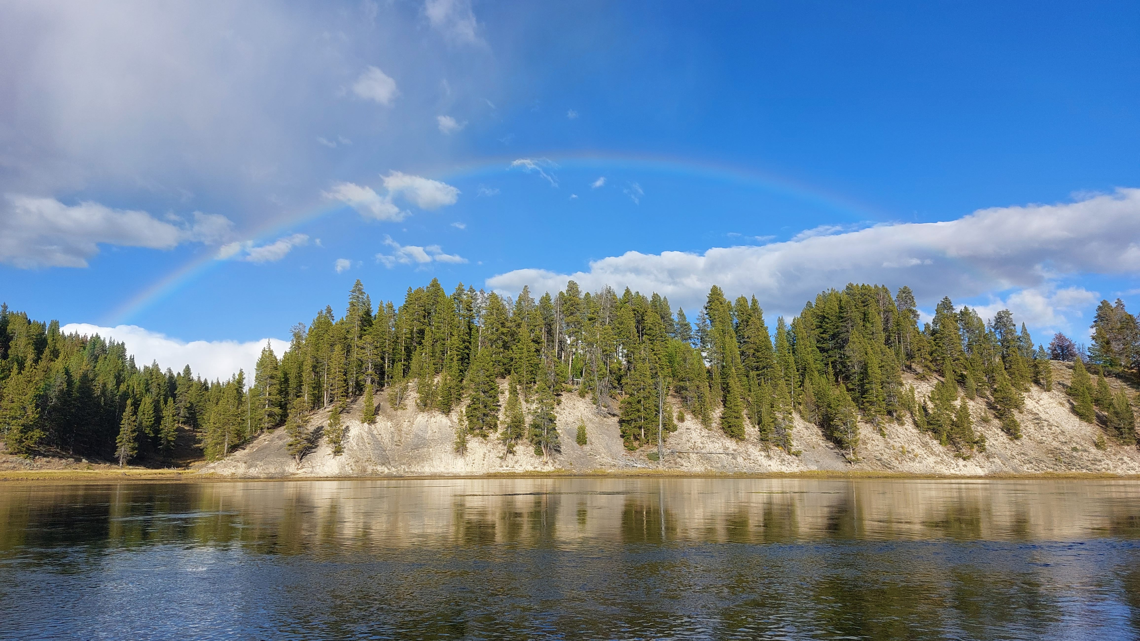 Photo of rainbow over pine trees.