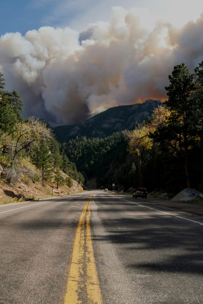 Smoke billowing above a forest with a road in the foreground.